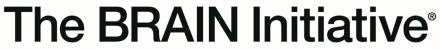 The BRAIN Initiative Partner Typeset branding logo on a single line