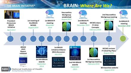 An overview of progress made at NIH under the BRAIN Initiative since its inception in 2013. The Multi-Council Working Group for the NIH BRAIN Initiative held their first meeting in August 2014, and has made rapid progress since then, evidenced by the establishment of the BRAIN Initiative Alliance, the Neuroethics Workgroup, and the trajectory of BRAIN-funded research at NIH.