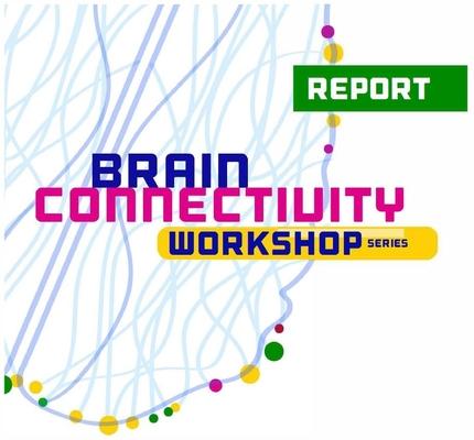 Brain connectivity illustration. 