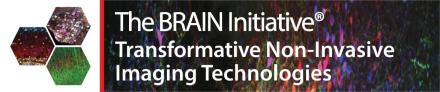 The BRAIN Initiative- Transformative Non-Invasive Imaging Technologies 