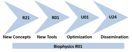 Biophysics R01: New Concepts (R21), New Tools (R01), Optimization (U01), Dissemination (U24) 