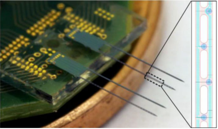 Dual shank silicon PEDOT neural probe. Image credit: IEEE Transactions on Biomedical Engineering. DOI: 10.1109/TBME.2015.2445713.