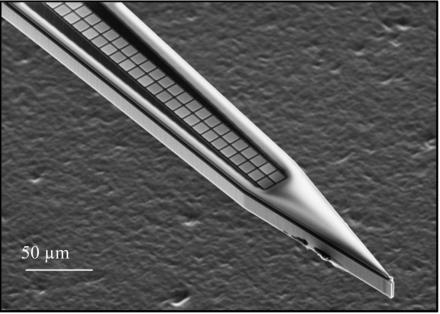 “Close-Packed Silicon Microelectrodes for Scalable Spatially Oversampled Neural Recording”external link by BRAIN grantee Ed Boydenexternal link and colleagues. This paper describes the design and implementation of close-packed silicon microelectrodes. The probes are fabricated in a hybrid lithography process, resulting in a dense array of recording sites connected to submicron-dimension wiring.