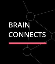 Brain Connects