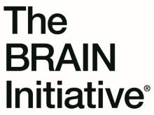 The BRAIN Initiative Partner Typeset branding logo on three lines