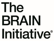 The BRAIN Initiative text logo on three lines.