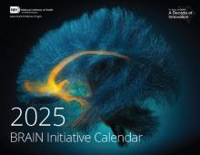 2025 BRAIN Initiative Calendar Front Cover