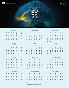 2025 BRAIN One Page Calendar