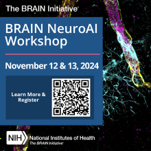 An informational graphic contains an inset and a background photo. The inset presents NIH and BRAIN Initiative logos, Neuro AI Workshop dates, and a QR code that links to the workshop website. The background photo is a false-color photomicroscopic image of an astrocyte (shown in cyan) tightly wrapped around a branched cortical blood vessel (shown in magenta) in a mouse brain. Using specialized structures called endfeet (shown in yellow), astrocytes regulate water and ion exchange, nutrient trafficking, and glymphatic flux across brain vasculature. Image credit: Justin Bollinger, Eric Wohleb lab, University of Cincinnati College of Medicine.