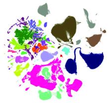 Multi-colored, “splotchy” graph used to visualize the different cell types which were analyzed in a study of aging on the mouse brain.