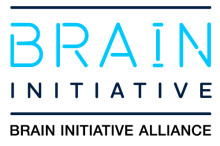 Logo of the BRAIN Initiative Alliance, with &quot;BRAIN INITIATIVE&quot; as a letter block and &quot;BRAIN INITIATIVE ALLIANCE&quot; underneath.