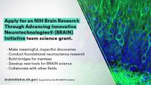 Flyer for an invitation to apply for BRAIN Initiative team science grants