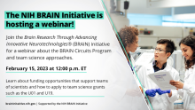 Flyer for BRAIN Circuits Program webinar on team science