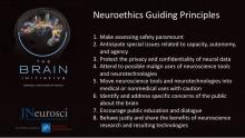 Neuroethics Guiding Principles