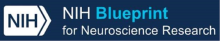 NIH Blueprint for Neuroscience Research Banner