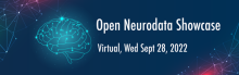 Open Neurodata showcase banner with image of a brain on it. 