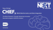 Now hiring, Chief! BRAIN Bioinformatics and Data integration