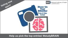 Show us your BRAINs photo and video contest flyer