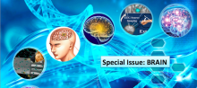 Special Issue: BRAIN cover