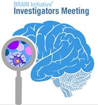 BRAIN Initiative Investigators Meeting logo