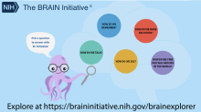 BRAIN Initiative homepage