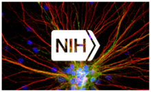 NIH logo