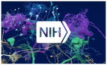 Data Sharing Notice For Research Funded By The NIH BRAIN Initiative ...